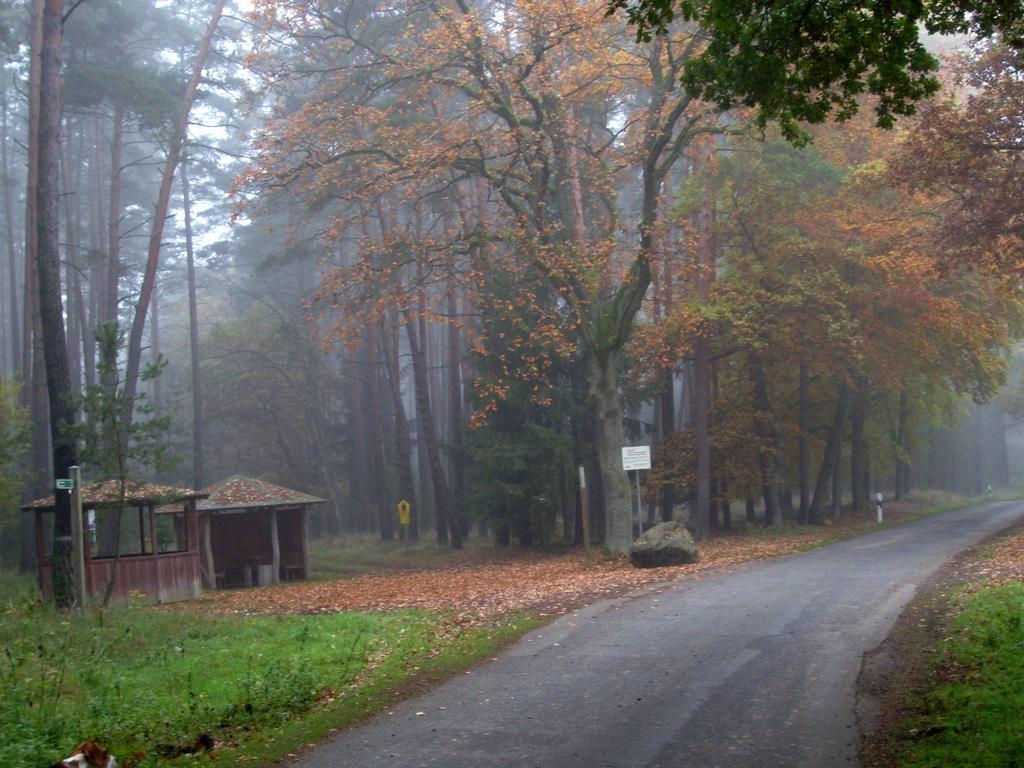 Steffis Zimmervermietung Graben  Экстерьер фото
