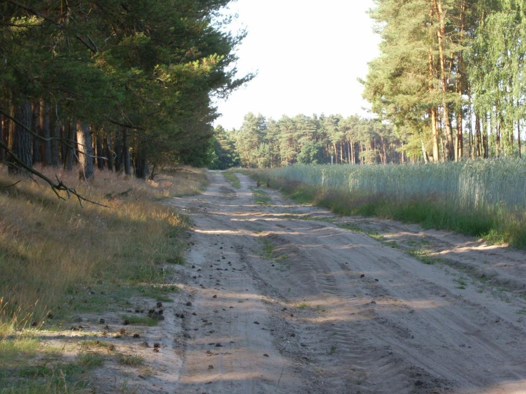 Steffis Zimmervermietung Graben  Экстерьер фото