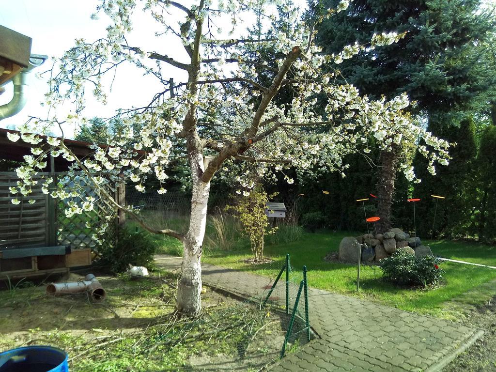 Steffis Zimmervermietung Graben  Экстерьер фото